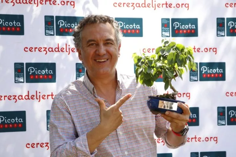 Roberto Brasero y el bonsai de Cerezo