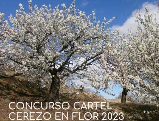 cartel del Cerezo en Flor 2023