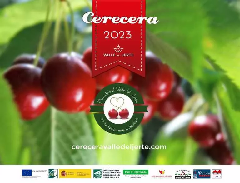 cerecera 1