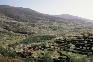 valle_jerte_cerezos_floración_panoramica