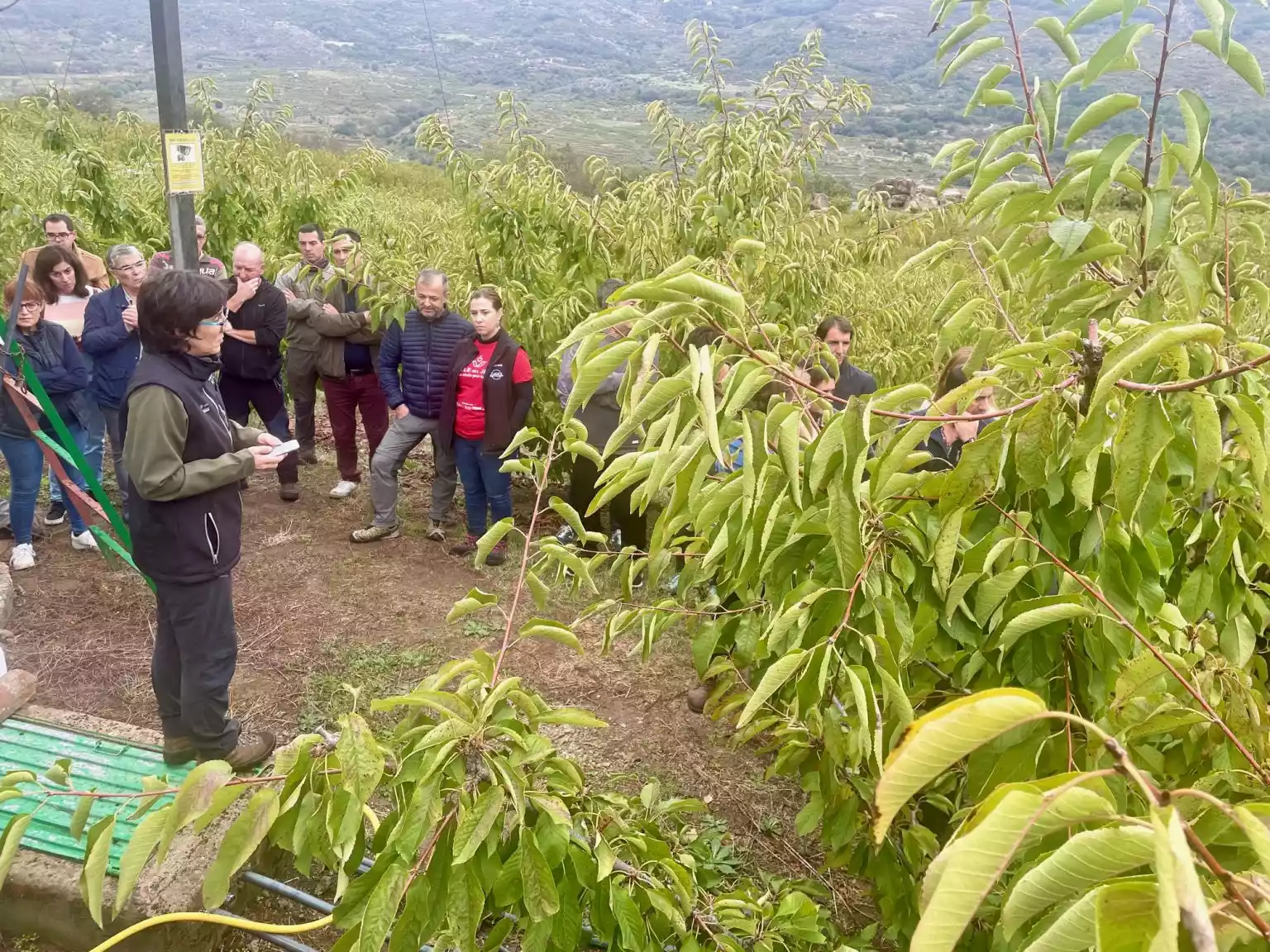 Gestión inteligente de riego en el Valle del Jerte