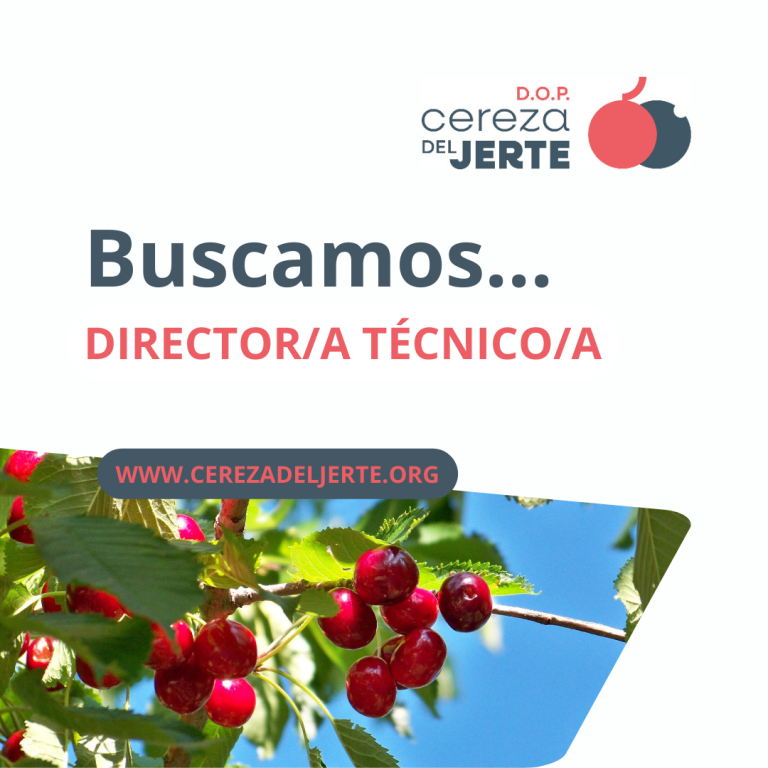 profesional para la dirección técnica