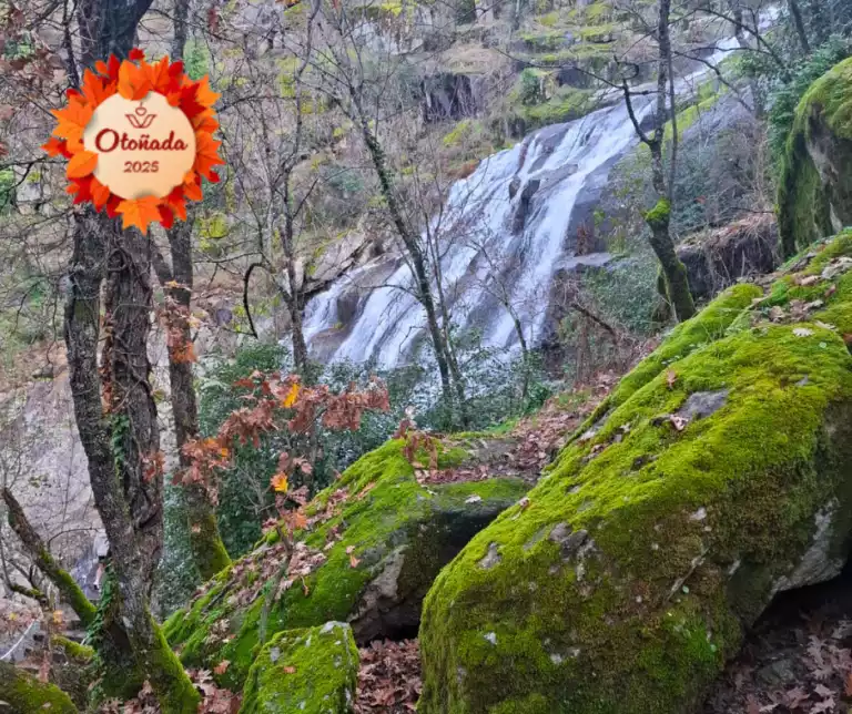 Diseño sin título - 2025-10-10T195628