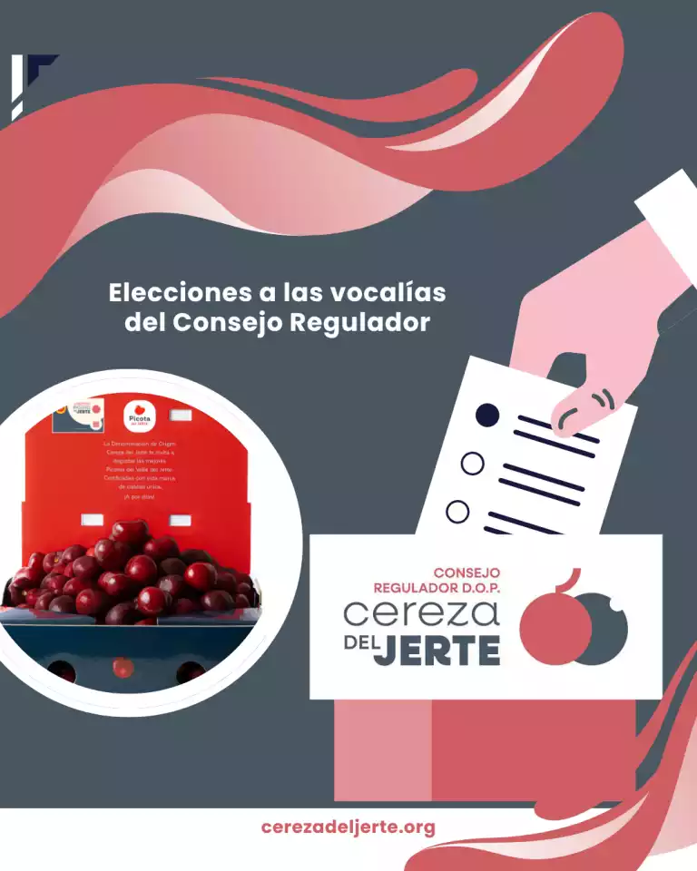 elecciones Consejo Cereza del Jerte, censos electorales Cereza del Jerte D.O.P. Candidaturas